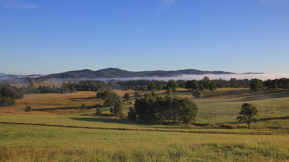 A Lush Green Field With Trees and Mountains in the Background — Hastings Garage Door Services in Wauchope