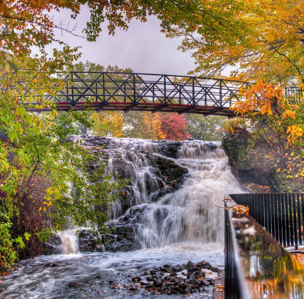 Mill Pond Elgin Mills