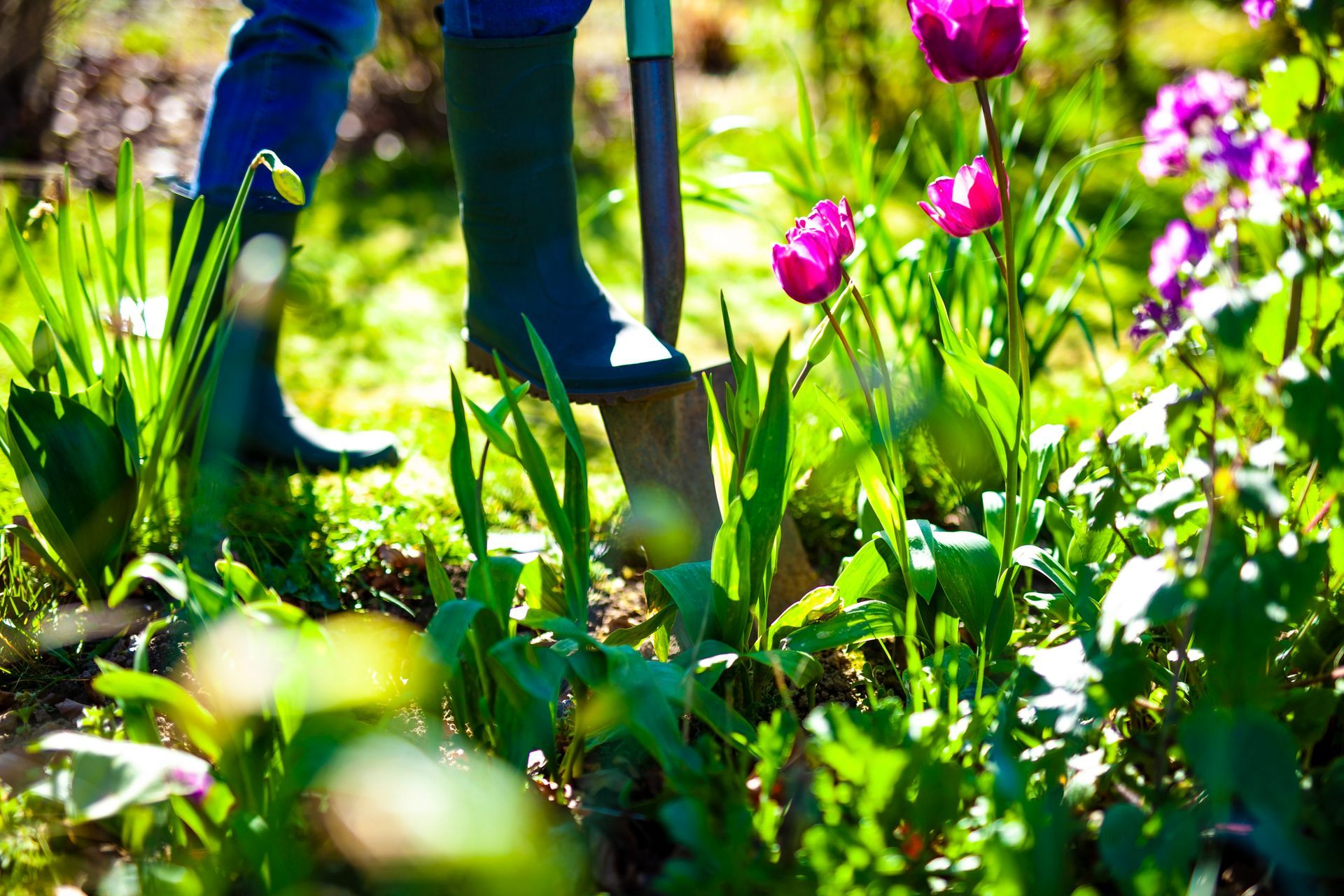 Landscaping Design — Puyallup, WA — Minh's Landscaping and Gardening Service