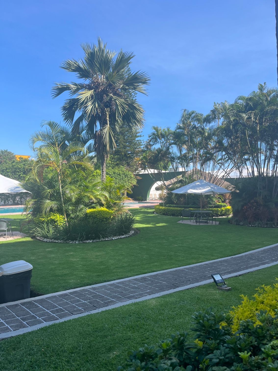 Un exuberante jardín verde con palmeras y un camino que conduce a la piscina de HOTEL DE CUAUTLA