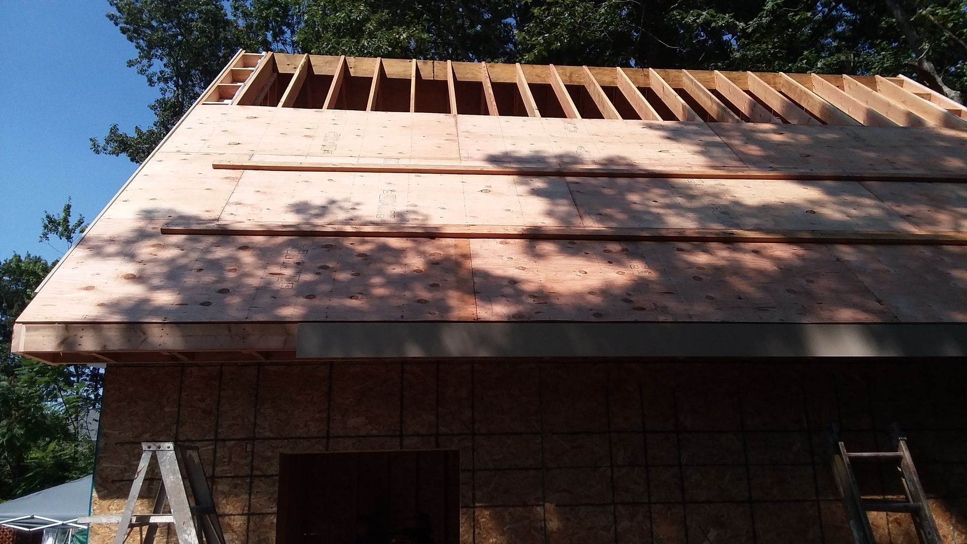 Wood-framed roof under construction on a building, showing exposed rafters and plywood, ladders on ground.