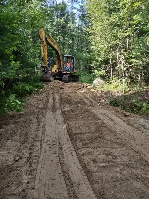 Excavator on a muddy forest road, clearing debris. Sunny day, green trees in background.