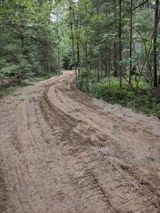 Dirt road winding through a forest, tire tracks visible, trees on either side.