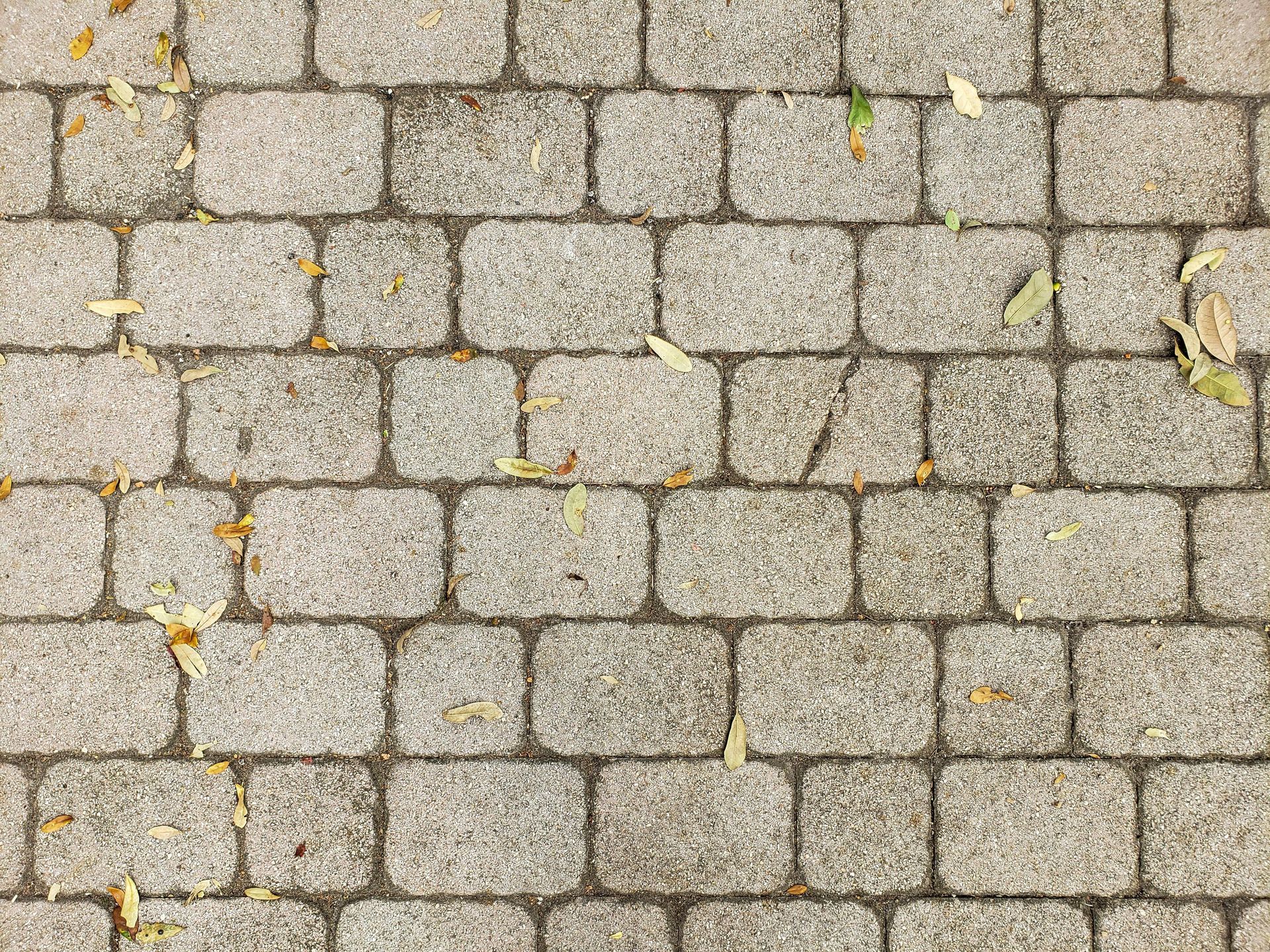 Gray brick sidewalk with a scattered few dead leaves.