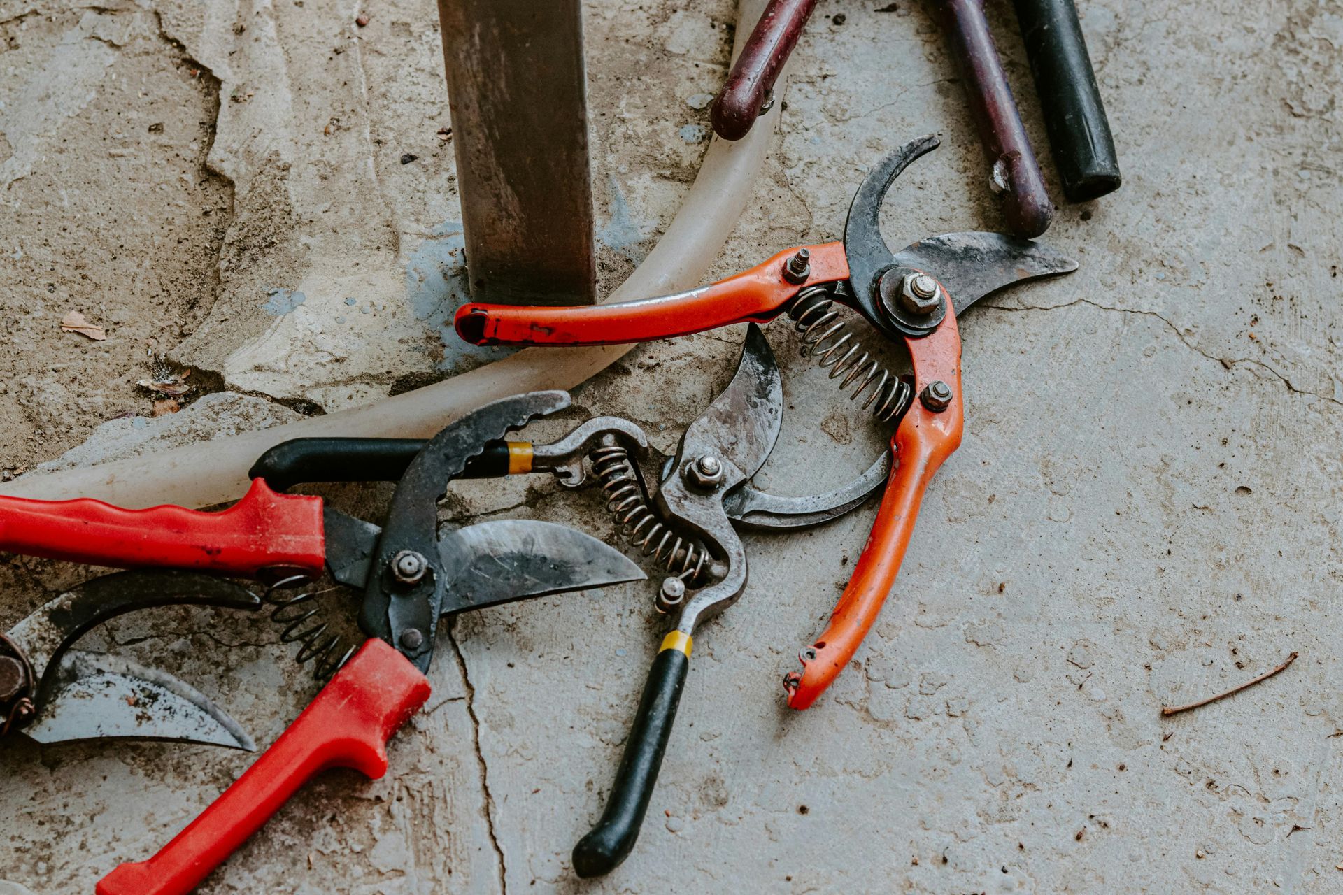 Secateurs with red and black handles, and other gardening tools rest on a textured, concrete surface.