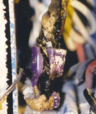 A close up of a piece of electrical equipment that has been damaged.