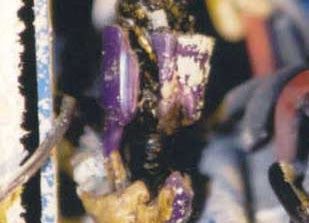 A close up of a piece of electrical equipment with a lot of wires coming out of it.