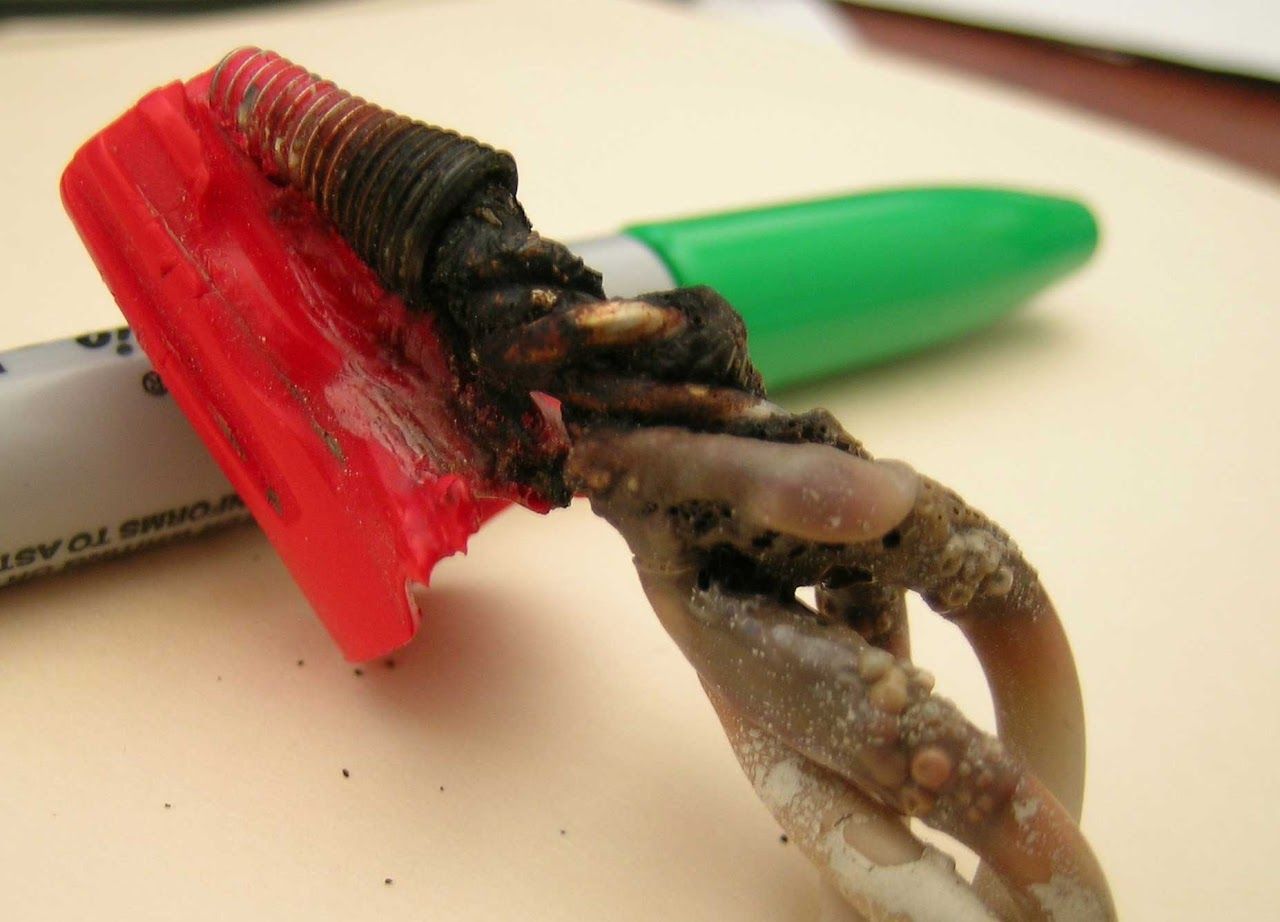 A green marker with the word eraser on it