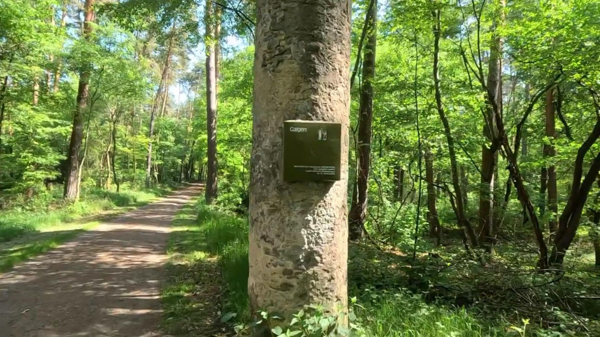 Vorschaubild Tour 6 – Platzhalter