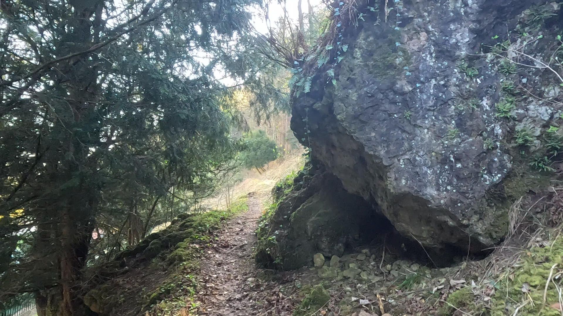 Vorschaubild Tour 3 – Platzhalter