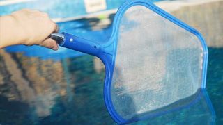 Cleaning The Pool — Summerville, SC — Clearblue Pools