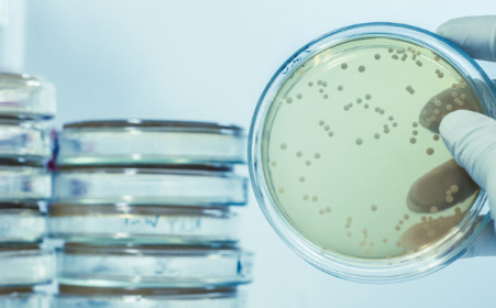 LABORATORIO CLÍNICO ADQ - Microbiología sanitaria