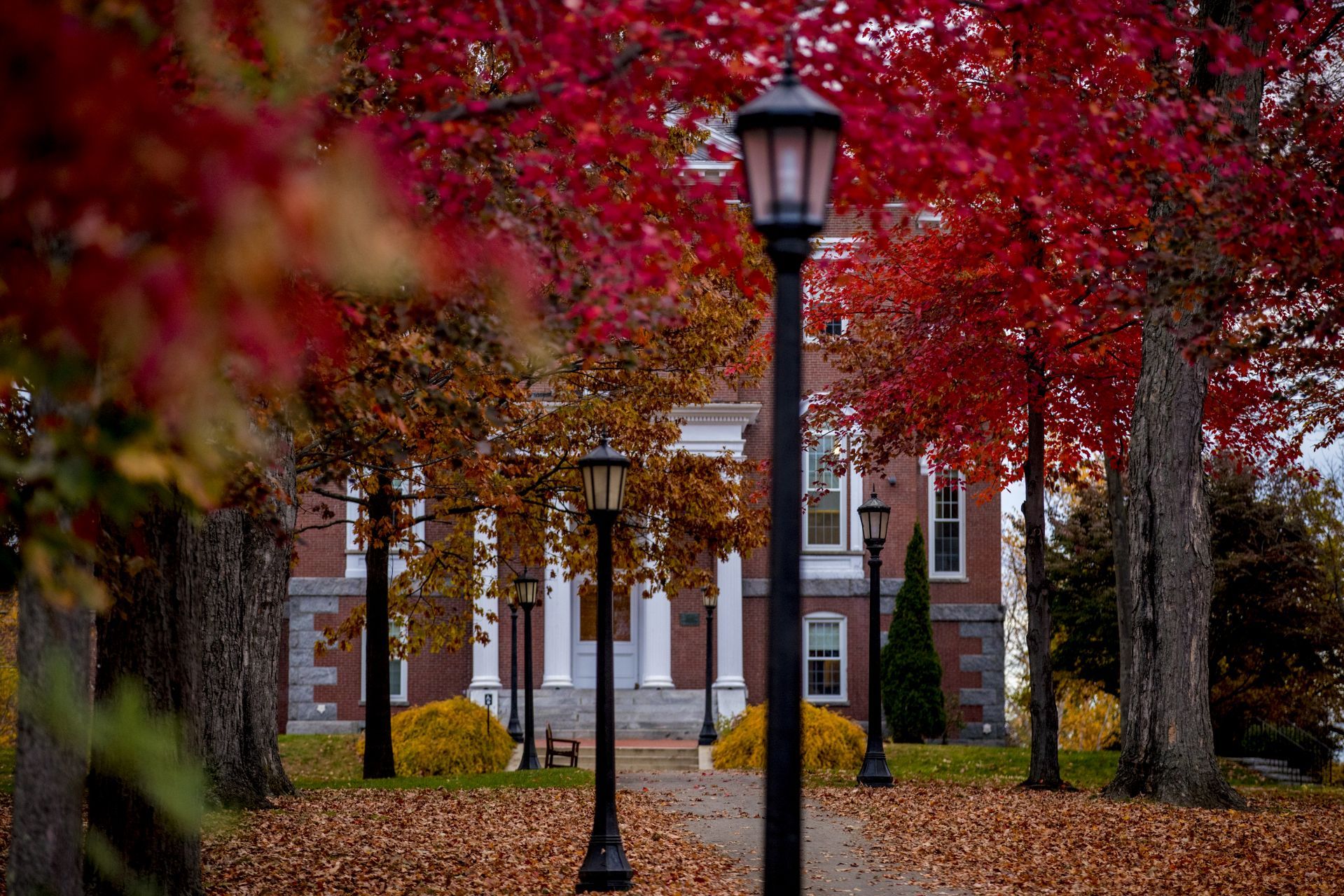 Bates College