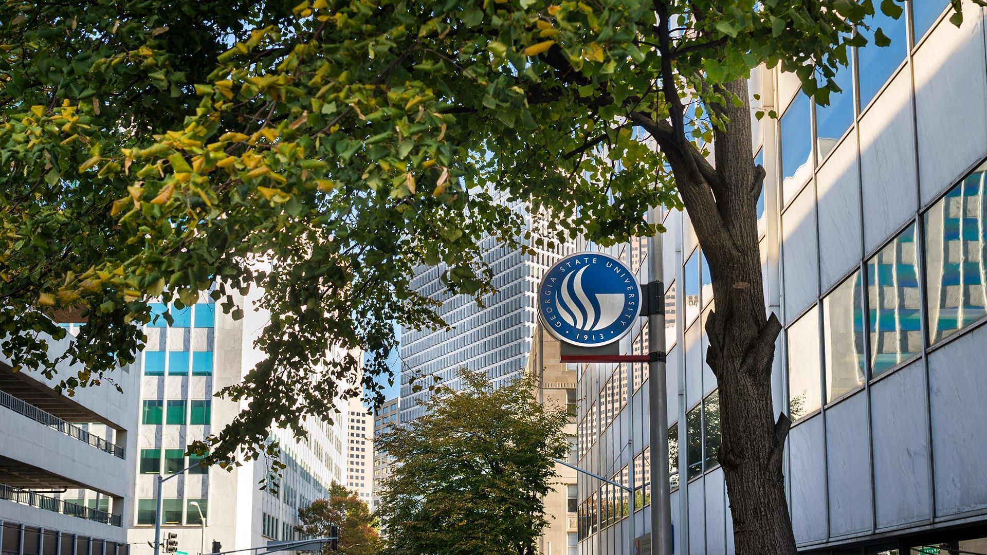 Georgia State University