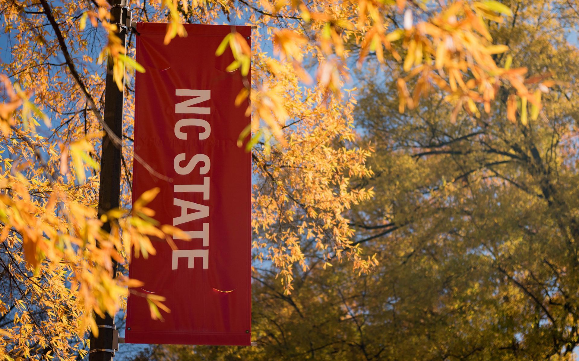 North Carolina State University -- Raleigh