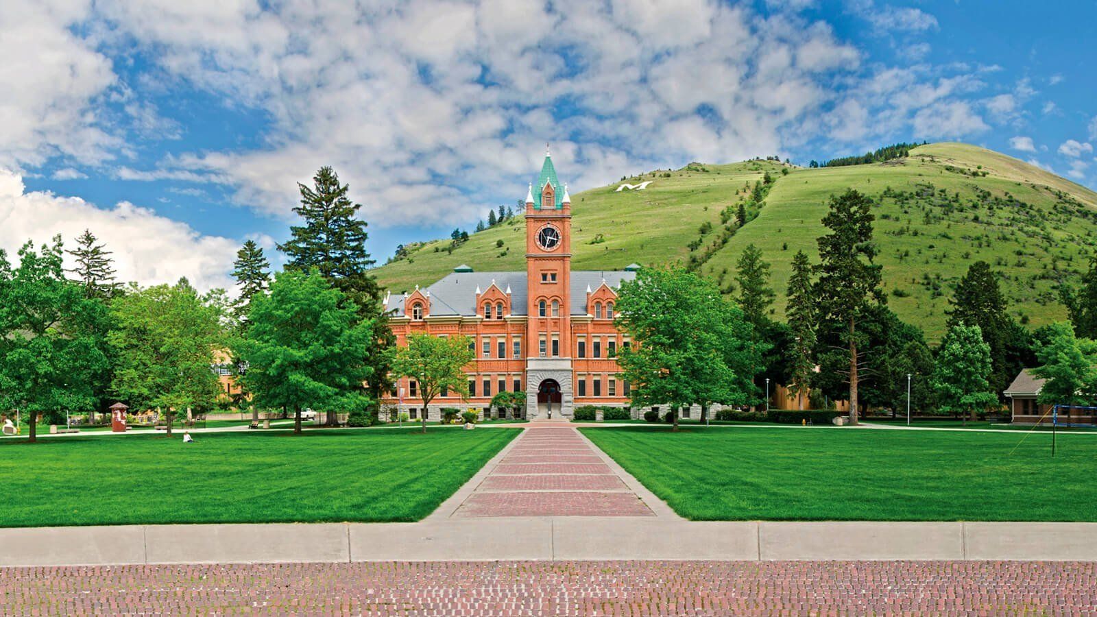 The University of Montana
