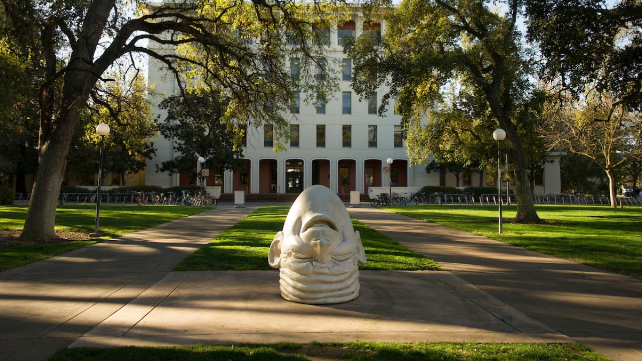 University of California, Davis