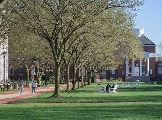 University of Delaware