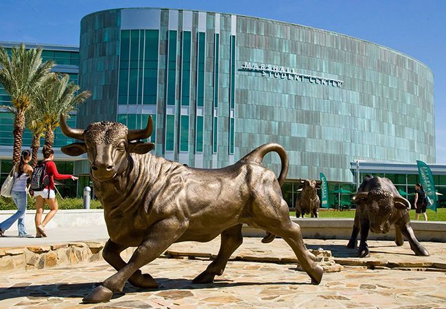 University of South Florida