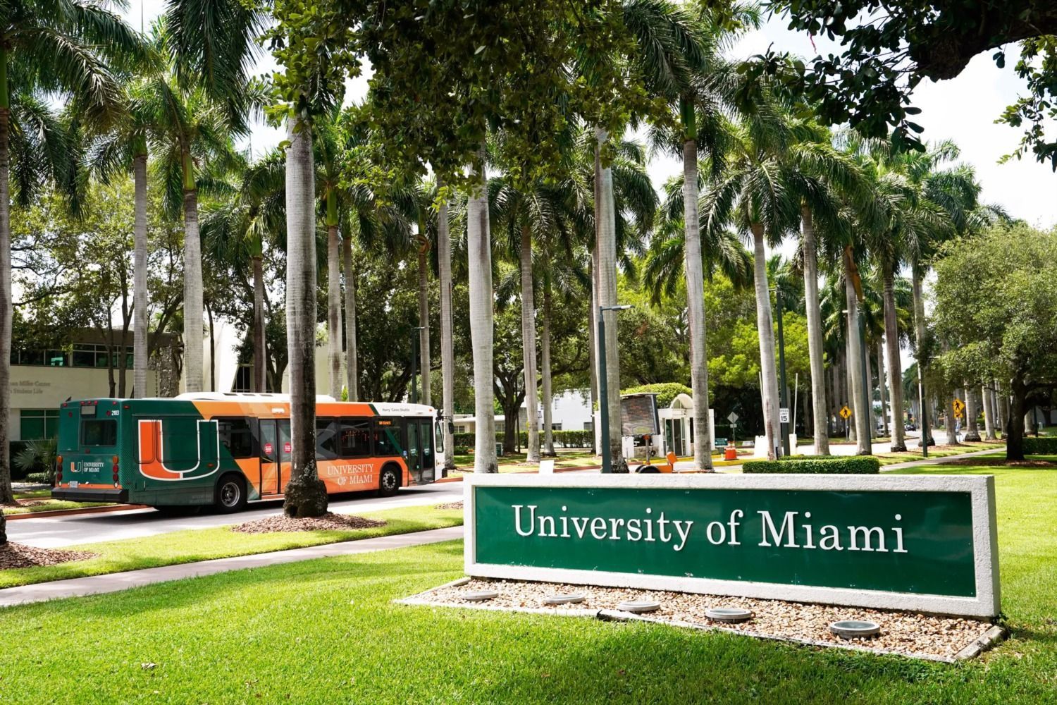 University of Miami