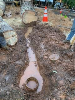 Plumber, Plumbing Service