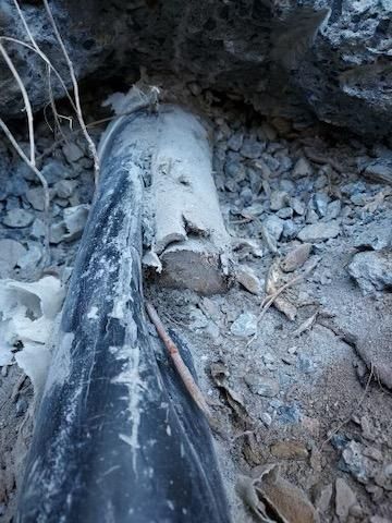 Plumber, Plumbing Service