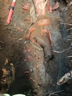 Plumber, Plumbing Service