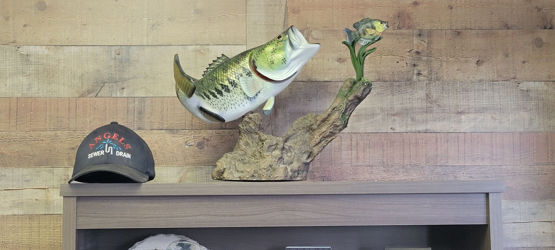 Plumber, Plumbing Service