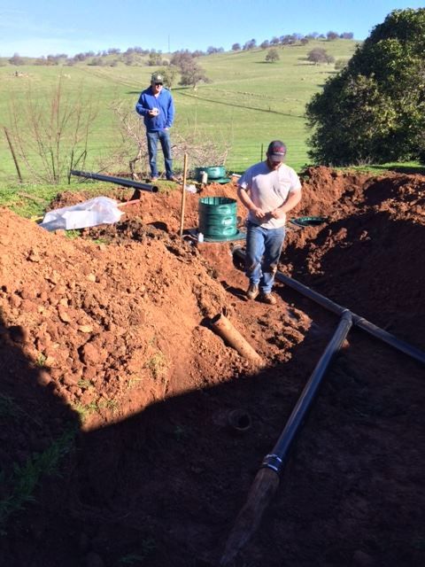 Plumber, Plumbing Service