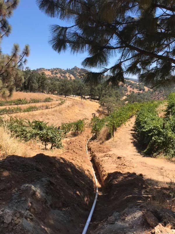 Plumber, Plumbing Service