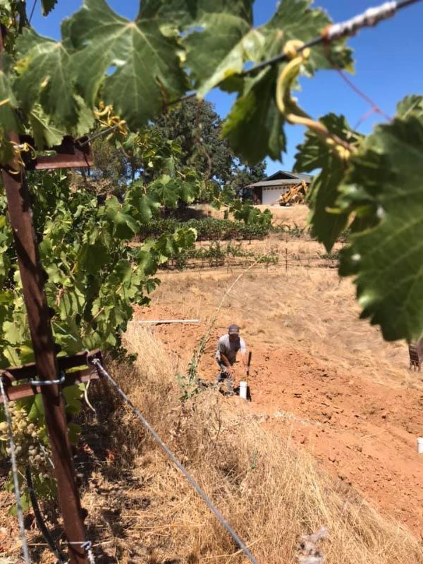 Plumber, Plumbing Service