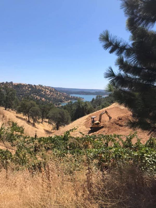 Plumber, Plumbing Service