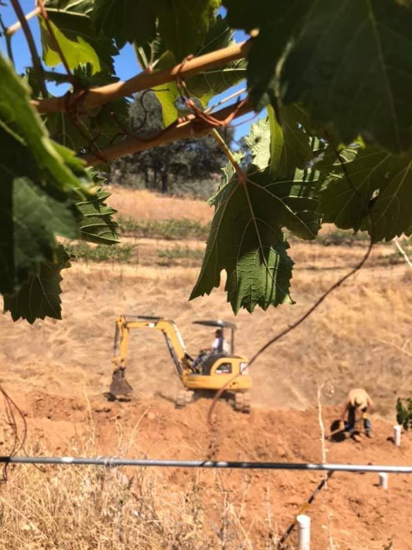 Plumber, Plumbing Service