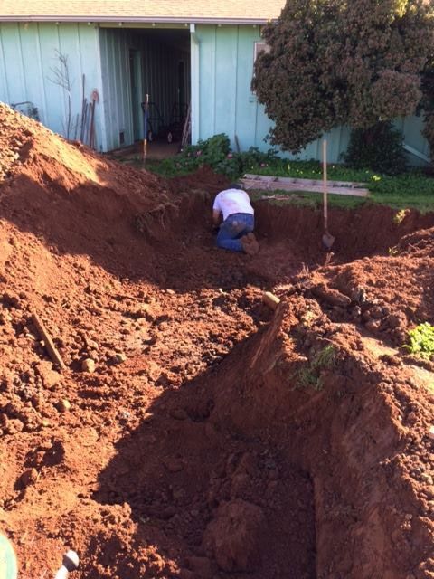 Plumber, Plumbing Service