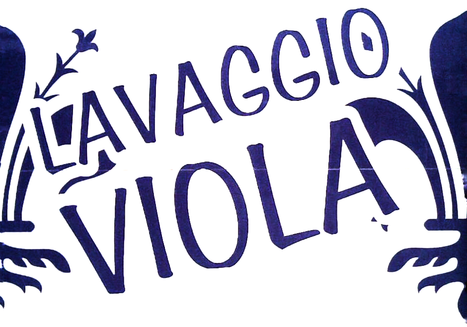 Autolavaggio Viola logo