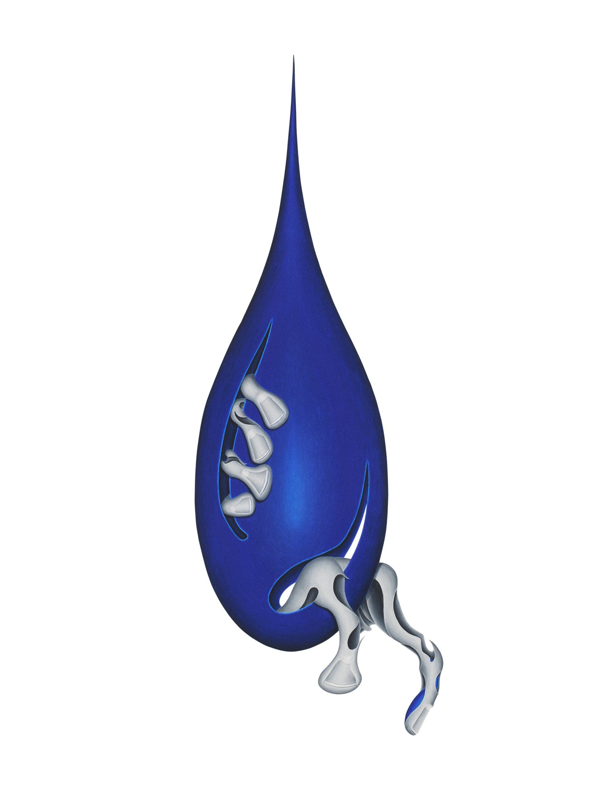 Image for Anatomy of a Raindrop