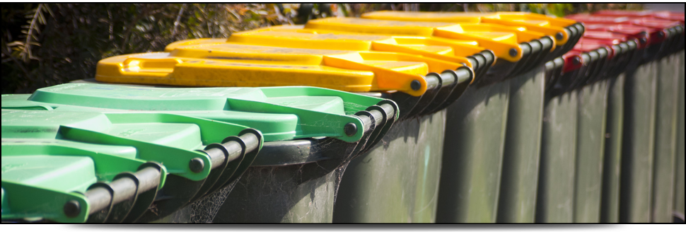 A row of dustbins with different coloured lids