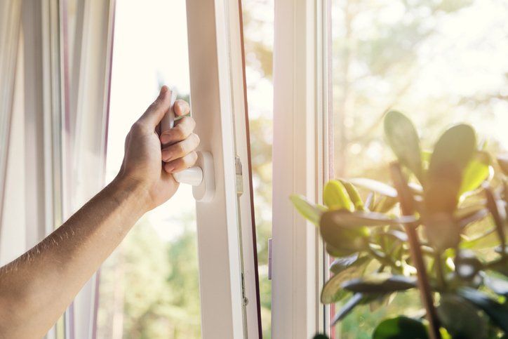 A person is opening a window with a plant in the background.