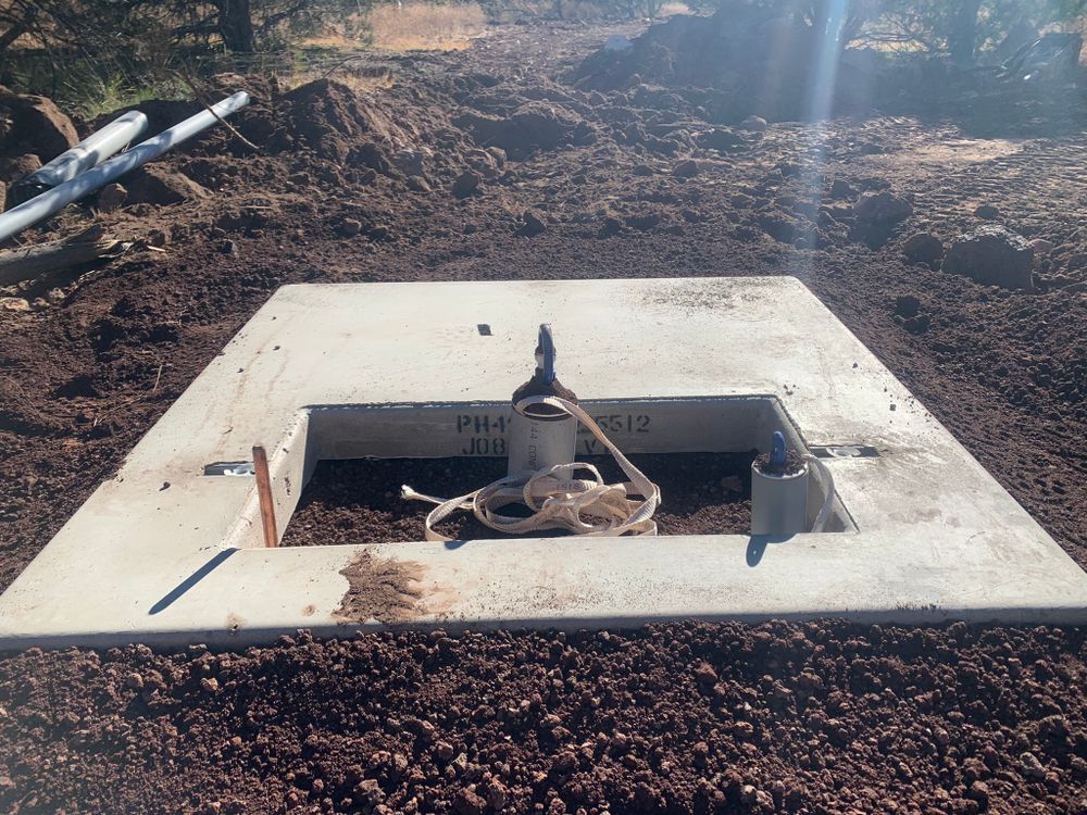Concrete square access point in dirt, with plumbing and an animal skull visible.