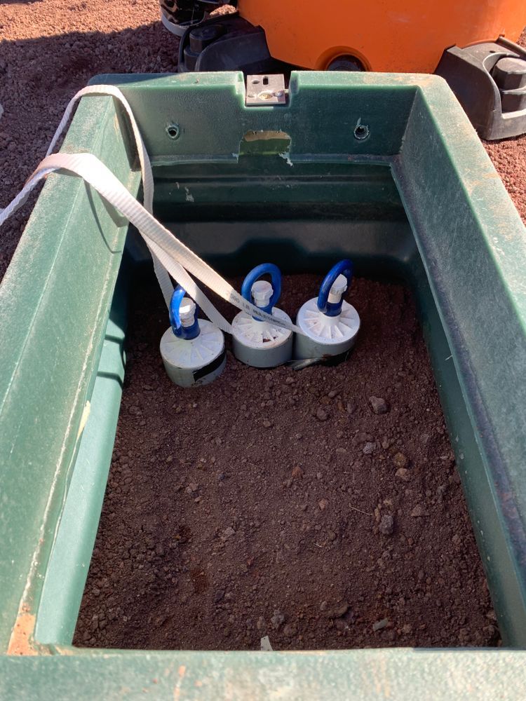 Three white circular objects with blue handles sit inside a dark green rectangular container filled with brown dirt.