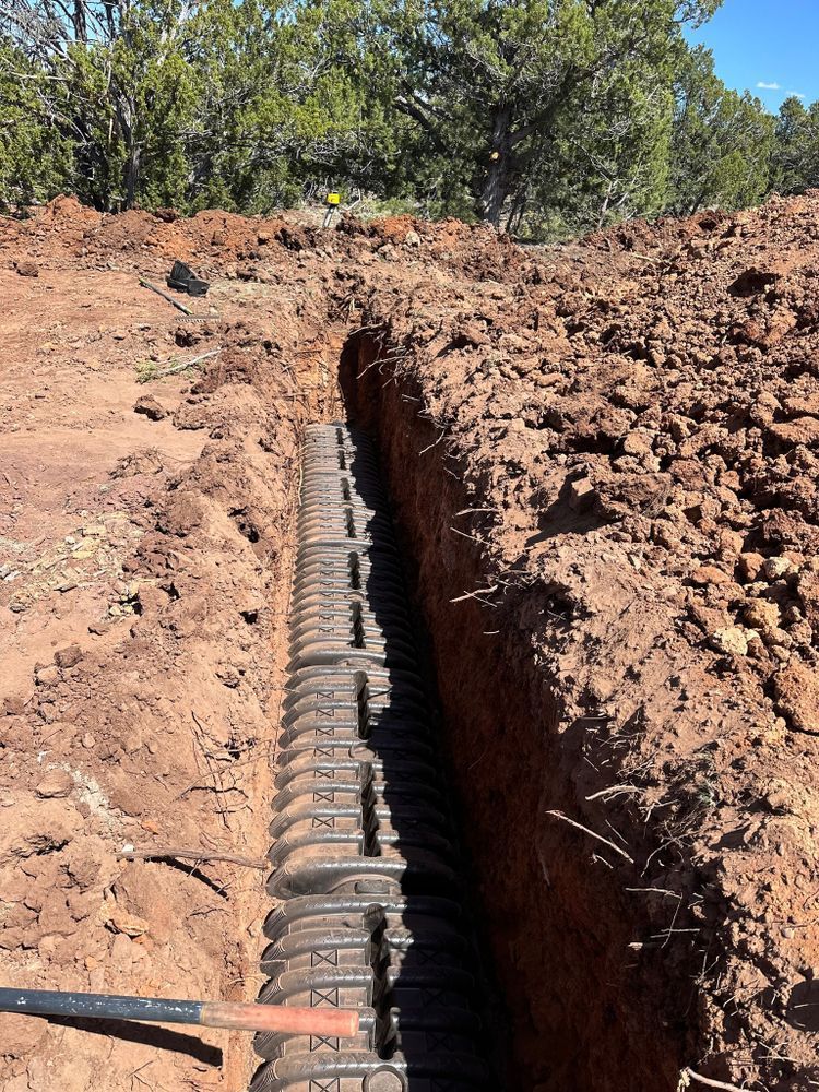 Trench with black corrugated pipe. Dirt walls, a shovel, and trees in the background.