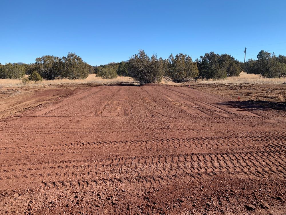 Dirt road with tractor tire tracks. Brown soil with trees and blue sky.