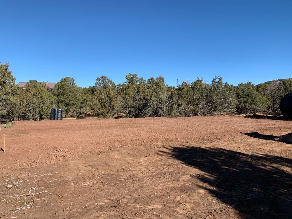 Cleared, red-toned ground, surrounded by trees, under a bright blue sky.