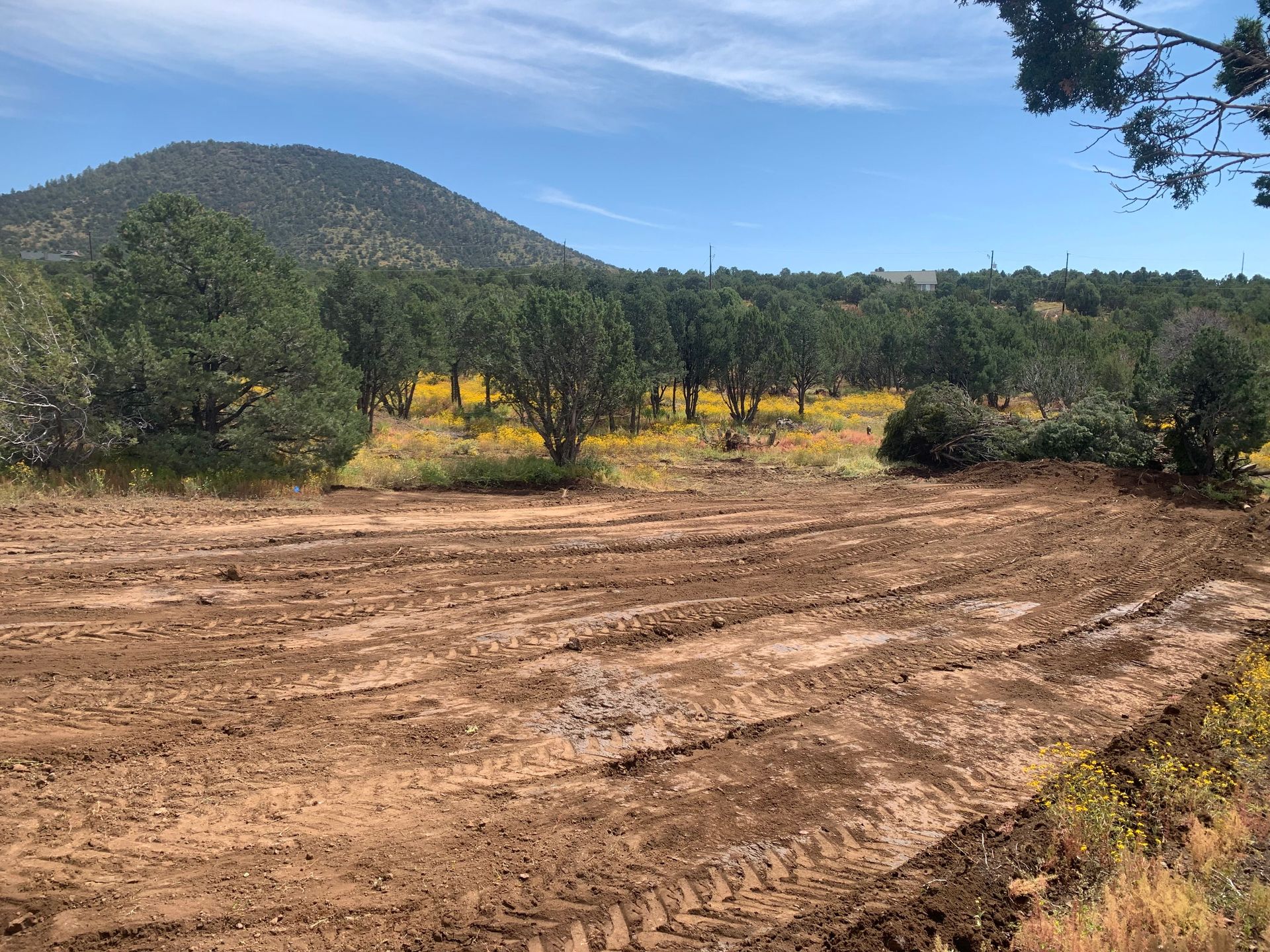 Brown dirt field with tire tracks, green trees, yellow flowers, mountain, and blue sky.