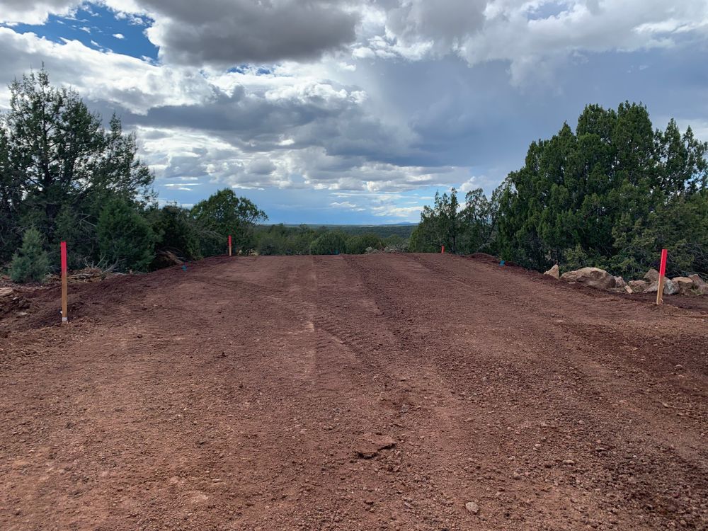 Dirt road graded through trees under a cloudy sky, with red survey stakes.