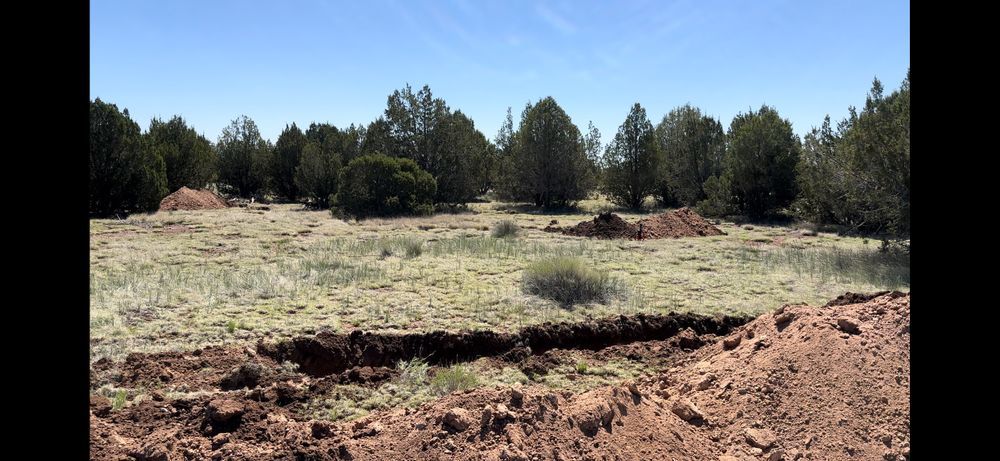 A natural landscape with trees, brown soil, and a blue sky.