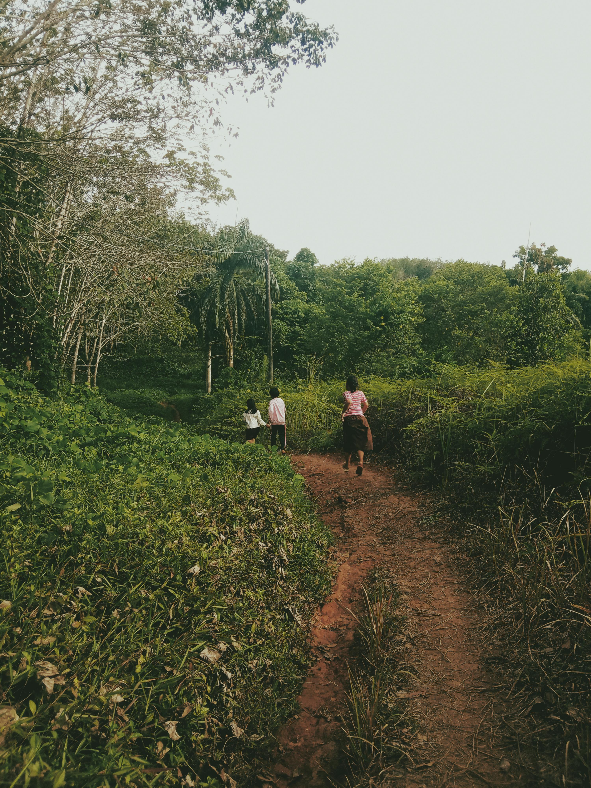 neurohumanity philosophy framework
cultivating mental blooms growth model
integrity activation neuroscience model
nervous system awareness concept