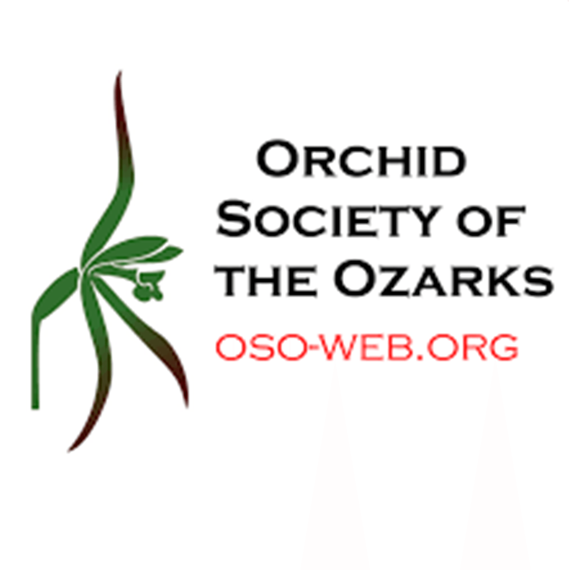Orchid Society of the Ozarks Logo