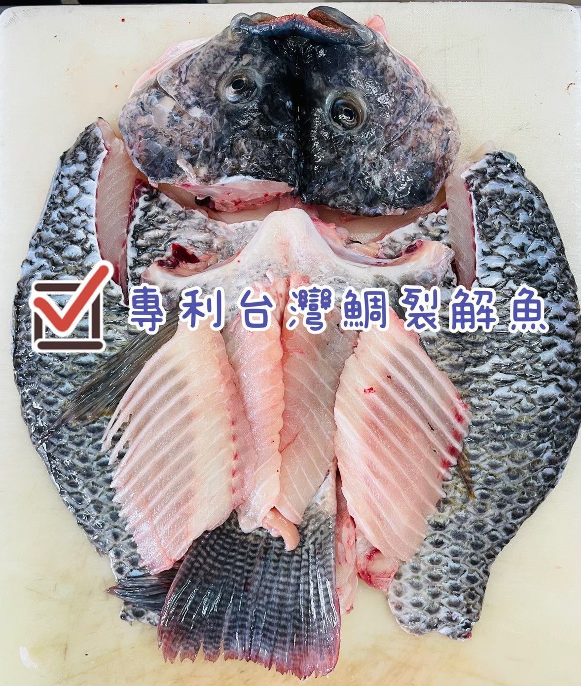 巧匠台灣鯛裂解全魚【三清:去鰓、去鱗、去內臟】