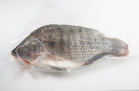 巧匠台灣鯛全魚【三清:去鰓、去鱗、去內臟】